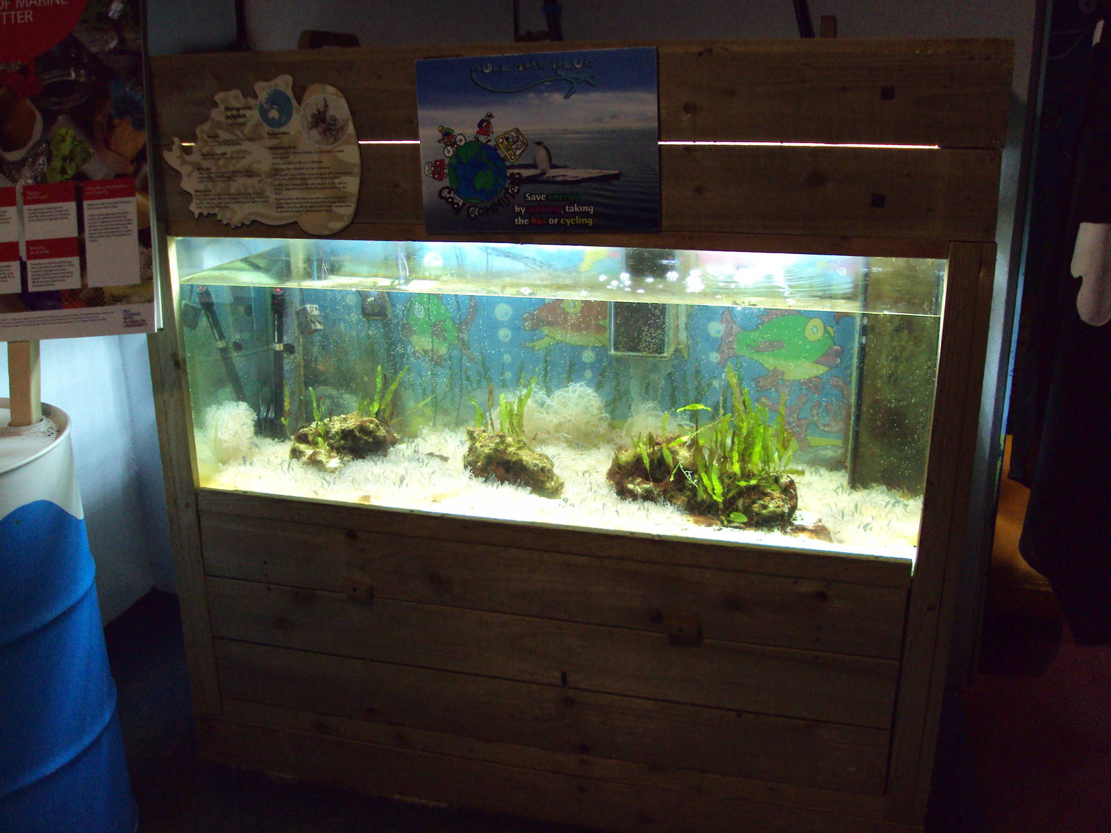 Upside-down Jellyfish tank