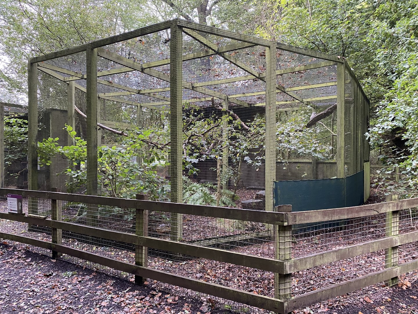 Ural owl aviary, owl wood, ZSL Whipsnade