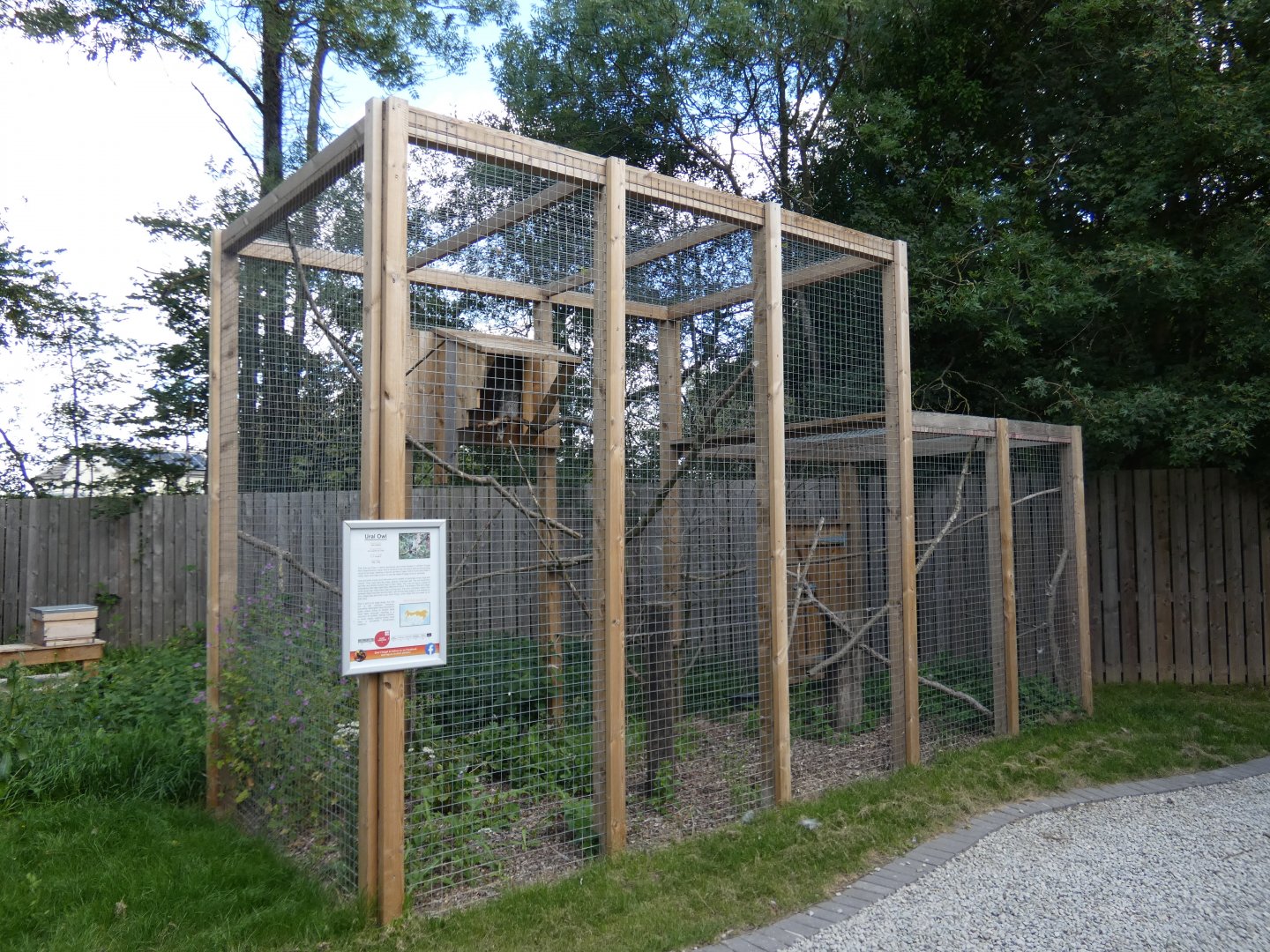 Ural Owl aviary