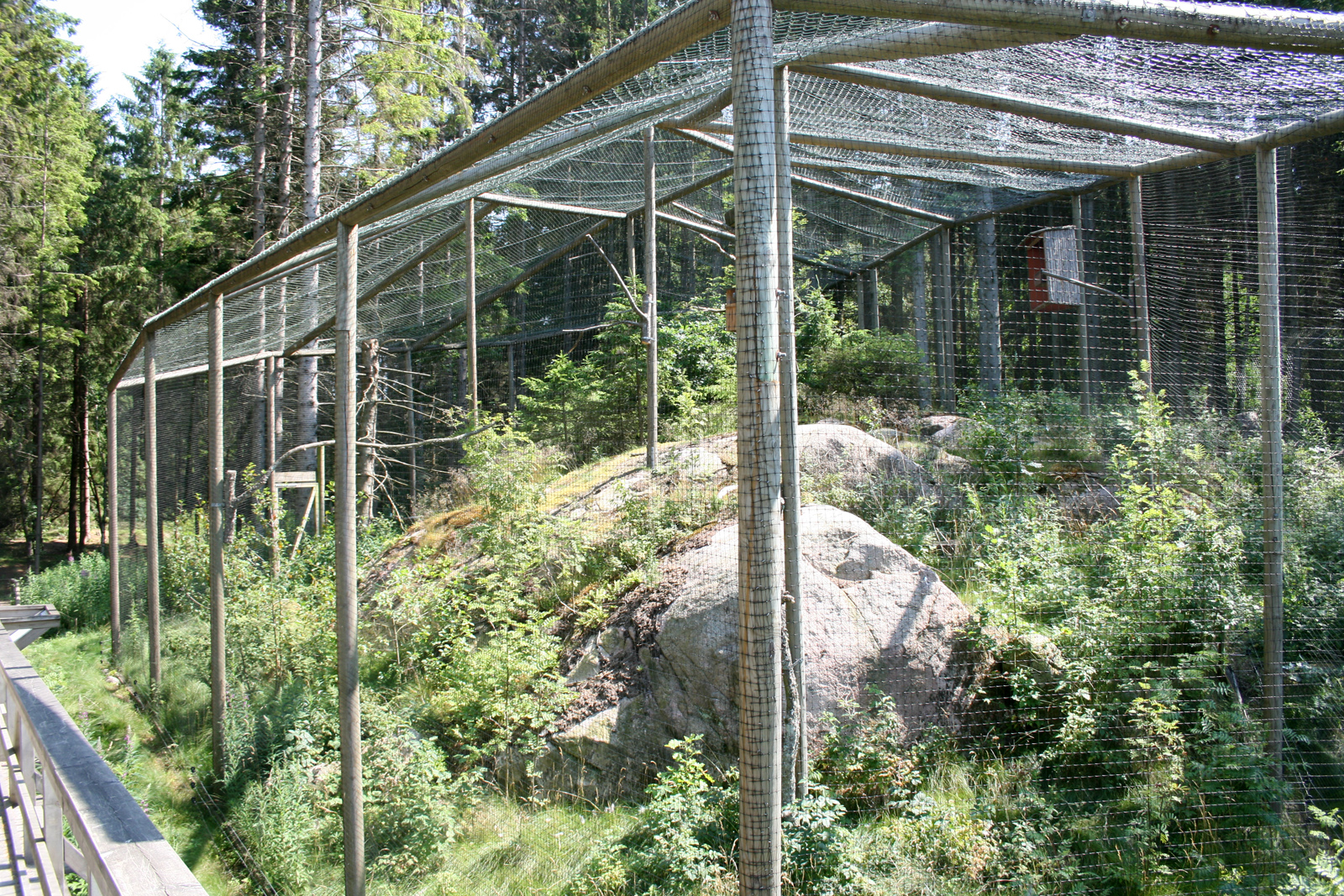 Ural owl aviary
