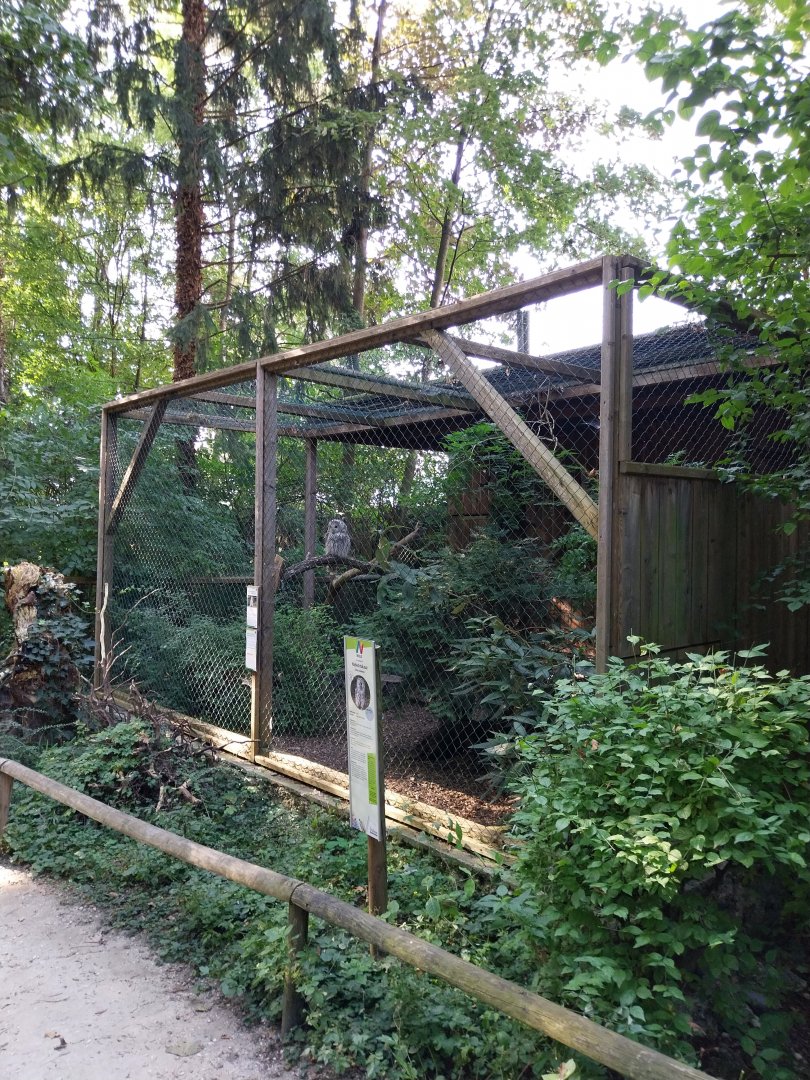 Ural owl aviary
