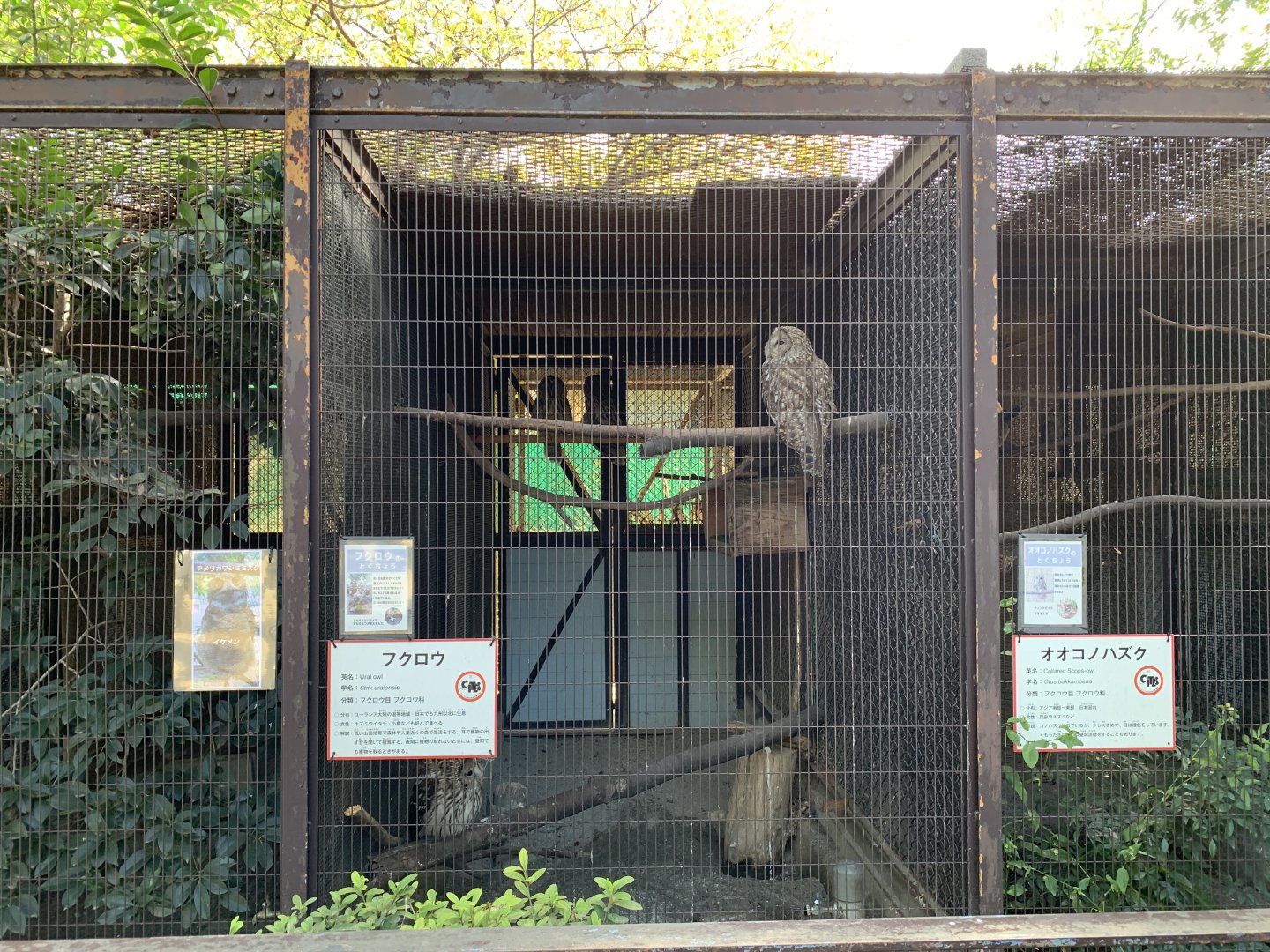 Ural Owl Enclosure (Himeji City Zoo)