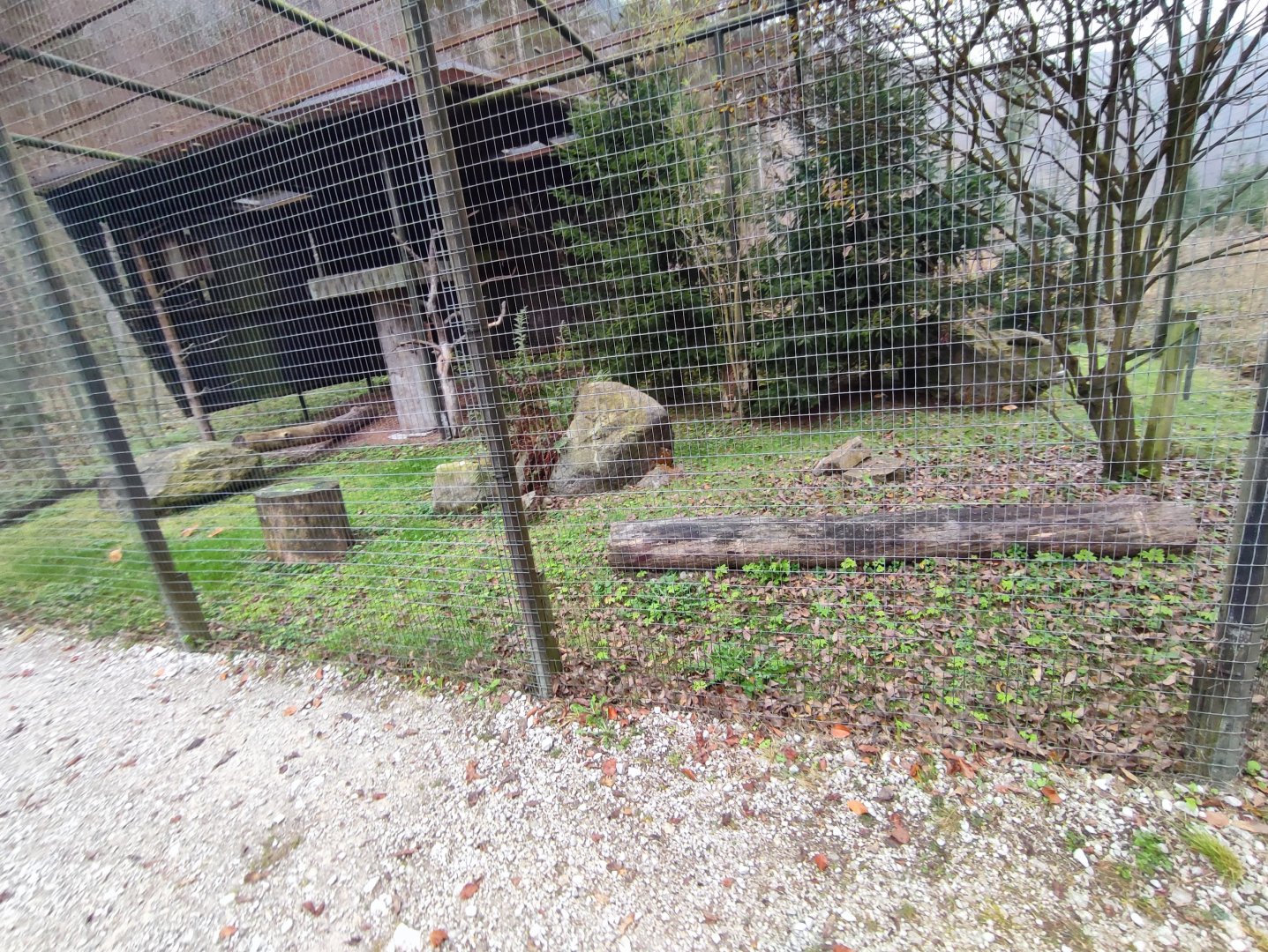 Ural owl enclosure - Wildpark Grünau/Cumberland