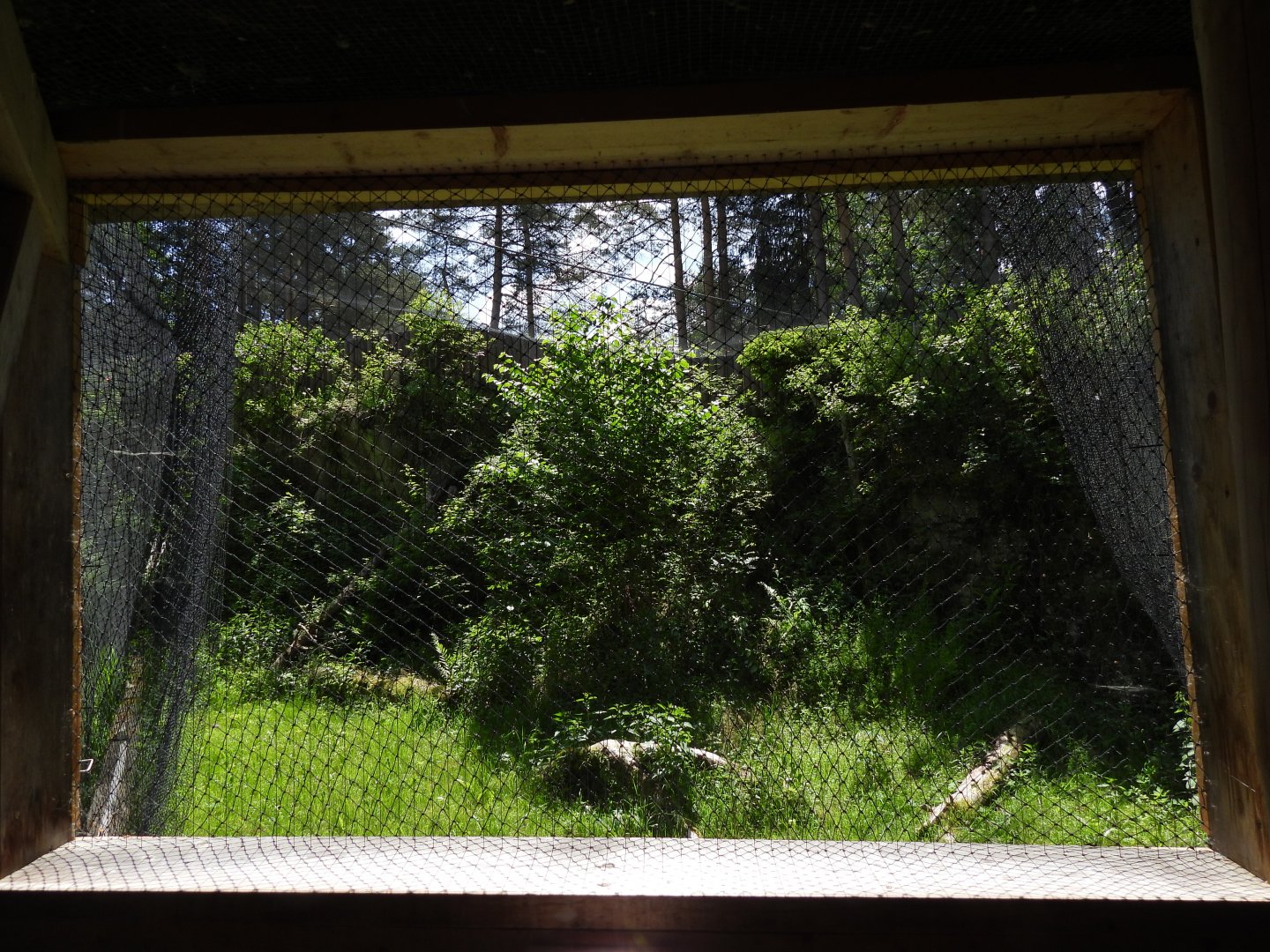 Ural owl exhibit - Owl aviary at Borova Lada, nationalpark Sumava
