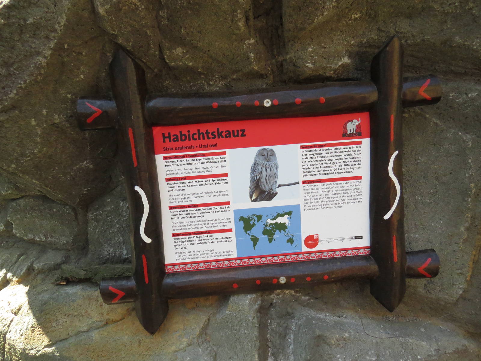 Ural owl sign, April 2014.