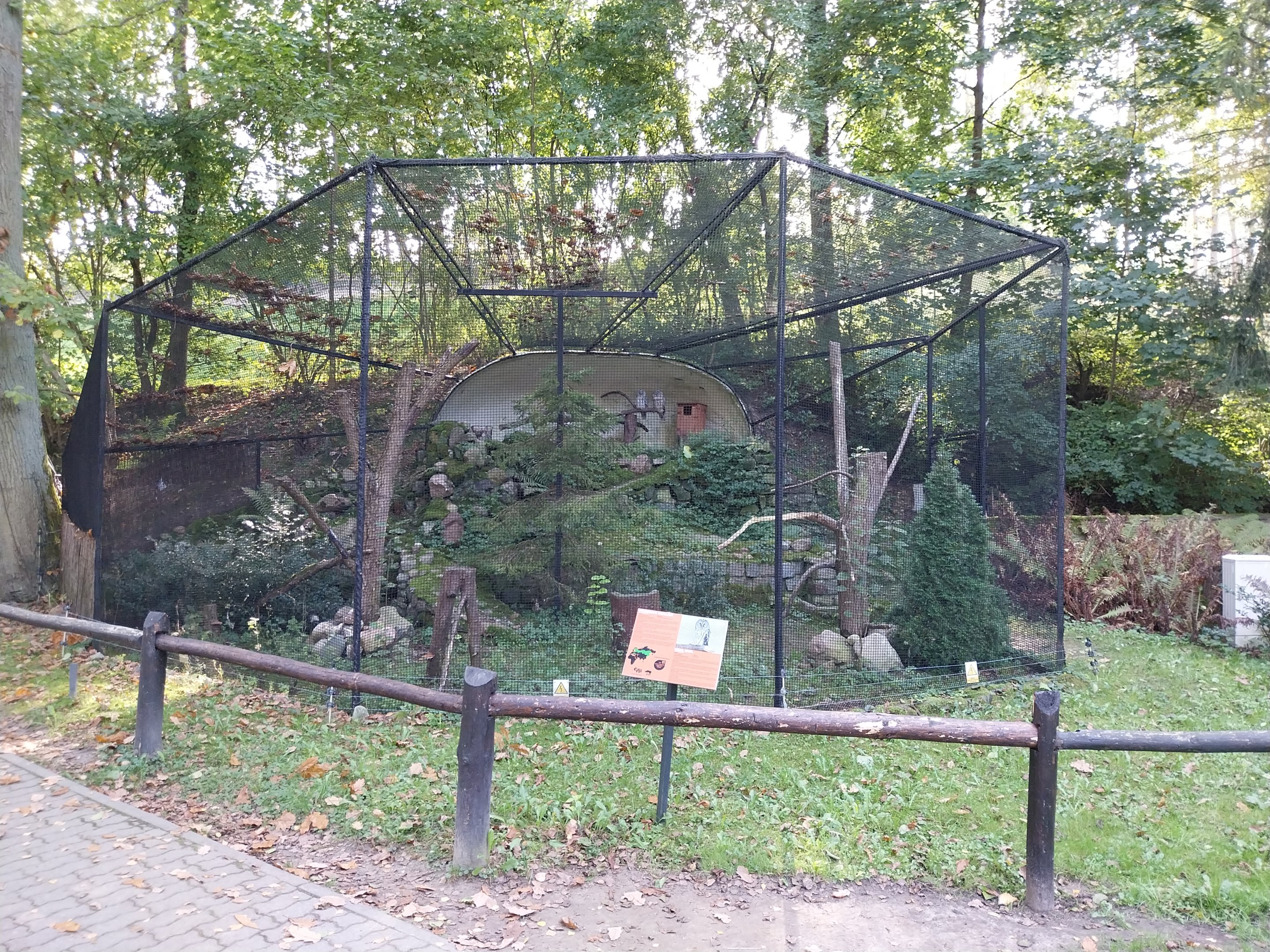 Ural Owl (Strix uralensis) aviary