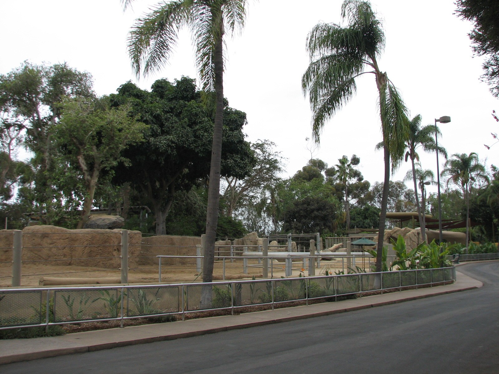 Urban Jungle - Rhino Exhibits