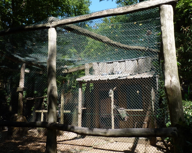 Urban pigeon enclosure