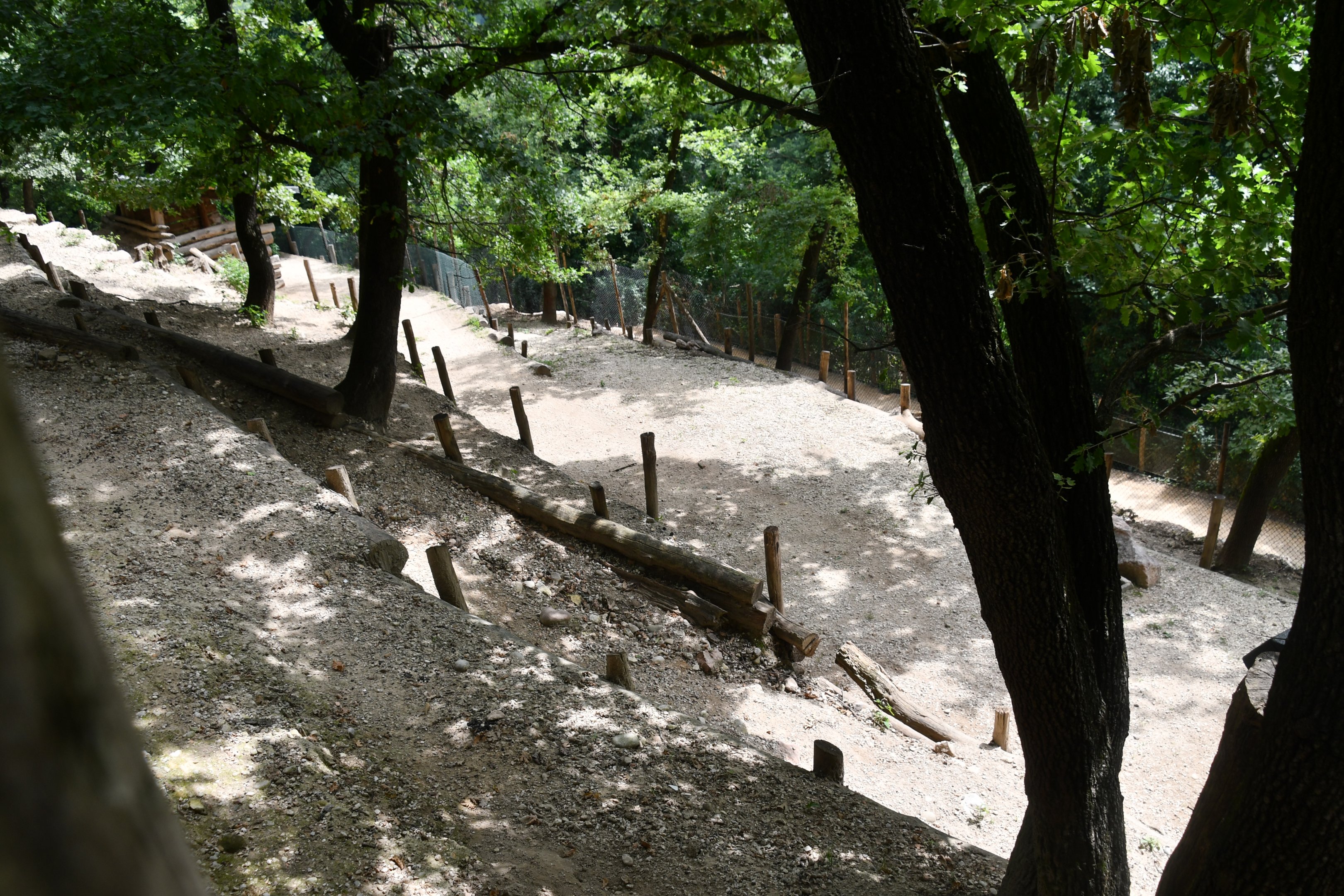 Urial exhibit (view from above)