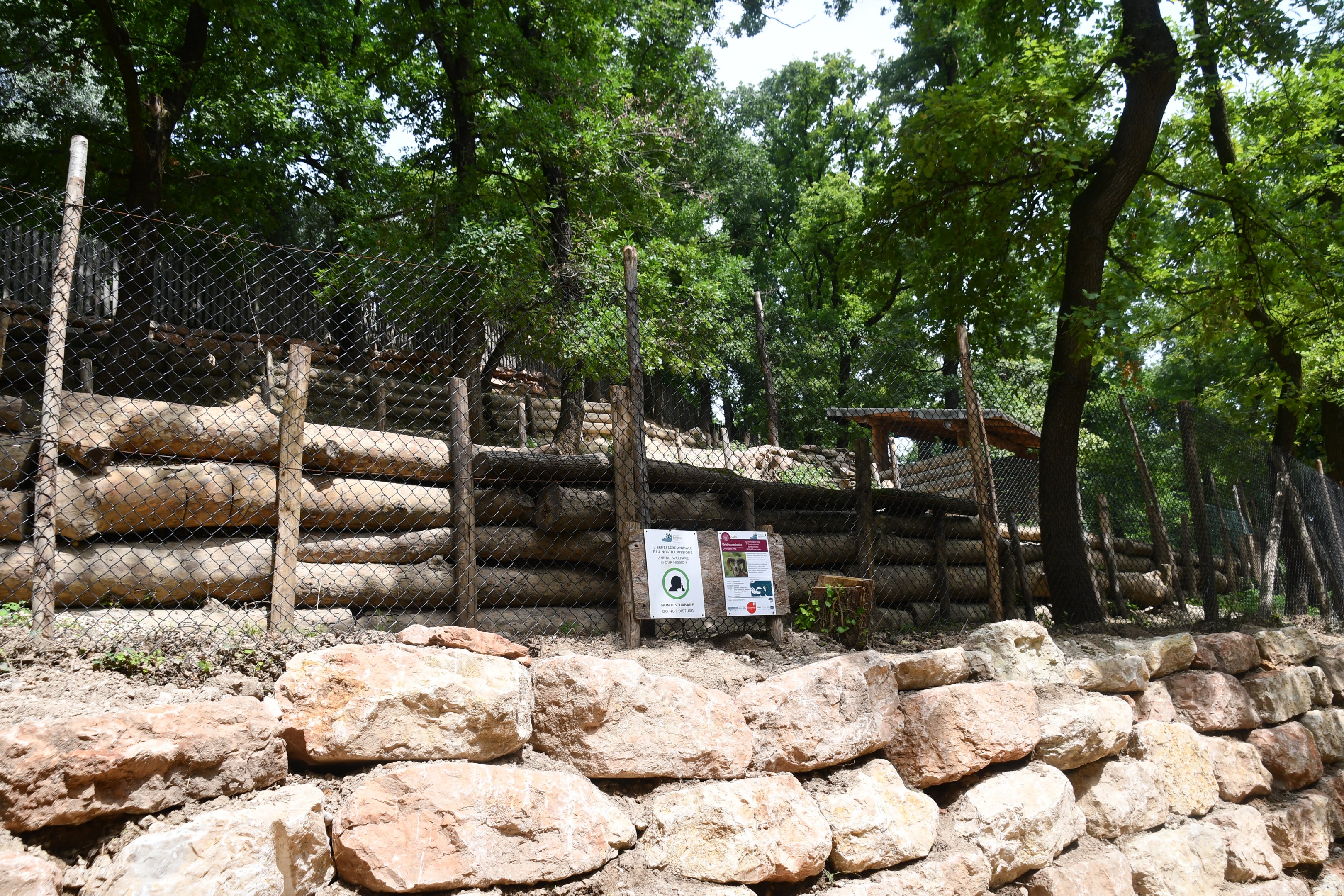 Urial exhibit (view from below)