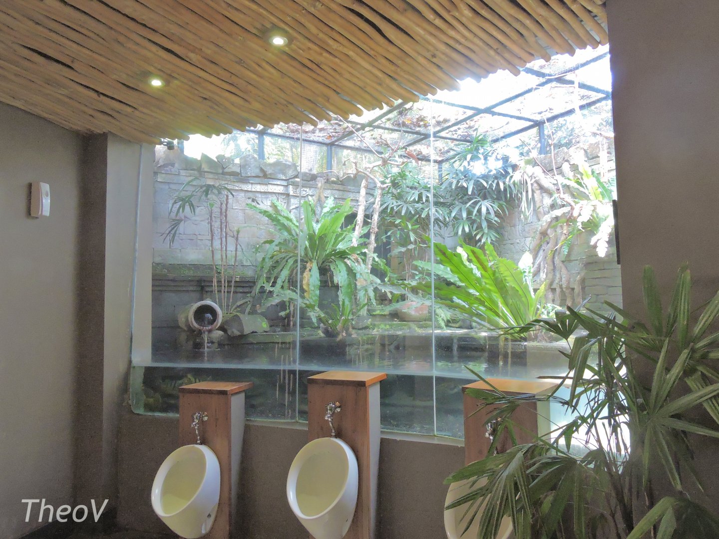 Urinals and lesser bird-of-paradise aviary [2016]