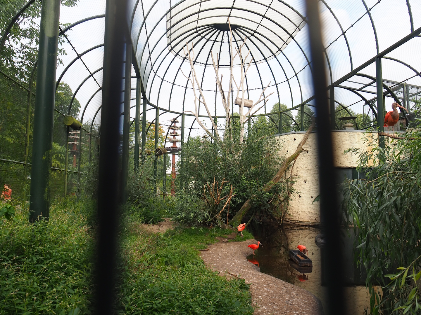 Urucu aviary, 2023-08-17