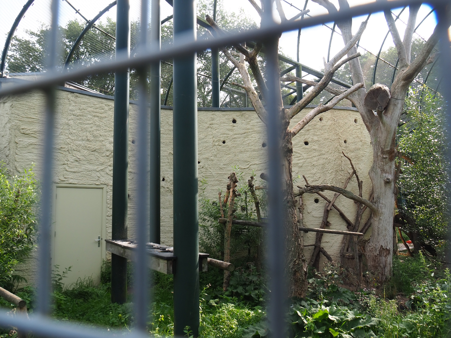 Urucu aviary, 2023-08-17