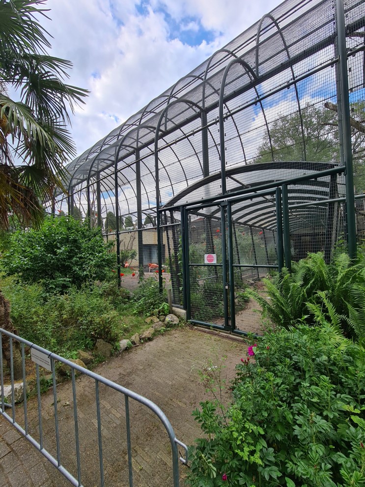 Urucu - South American aviary walkway