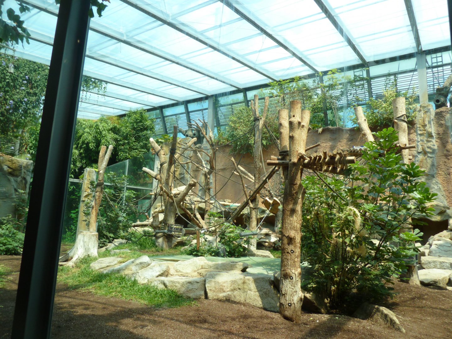 Urwaldhaus - Chimpansee enclosure