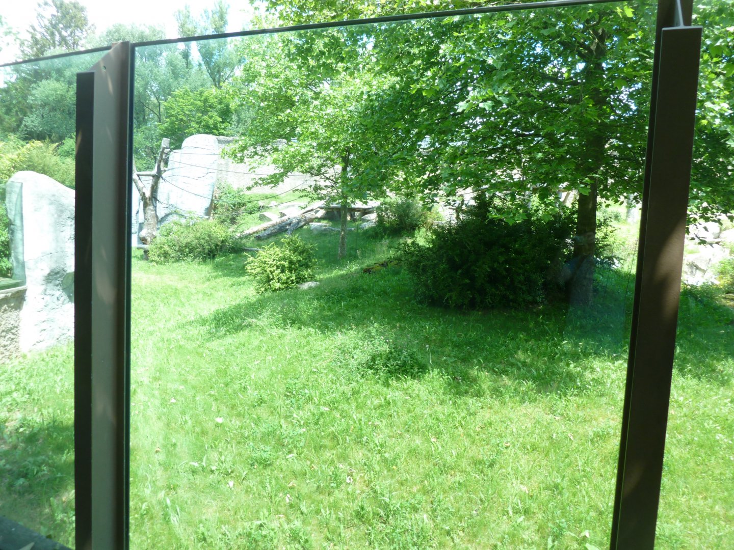 Urwaldhaus - Chimpansee enclosure