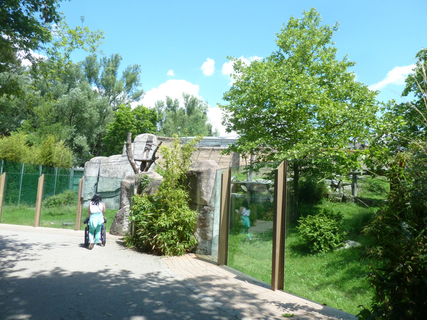 Urwaldhaus - Chimpansee enclosure