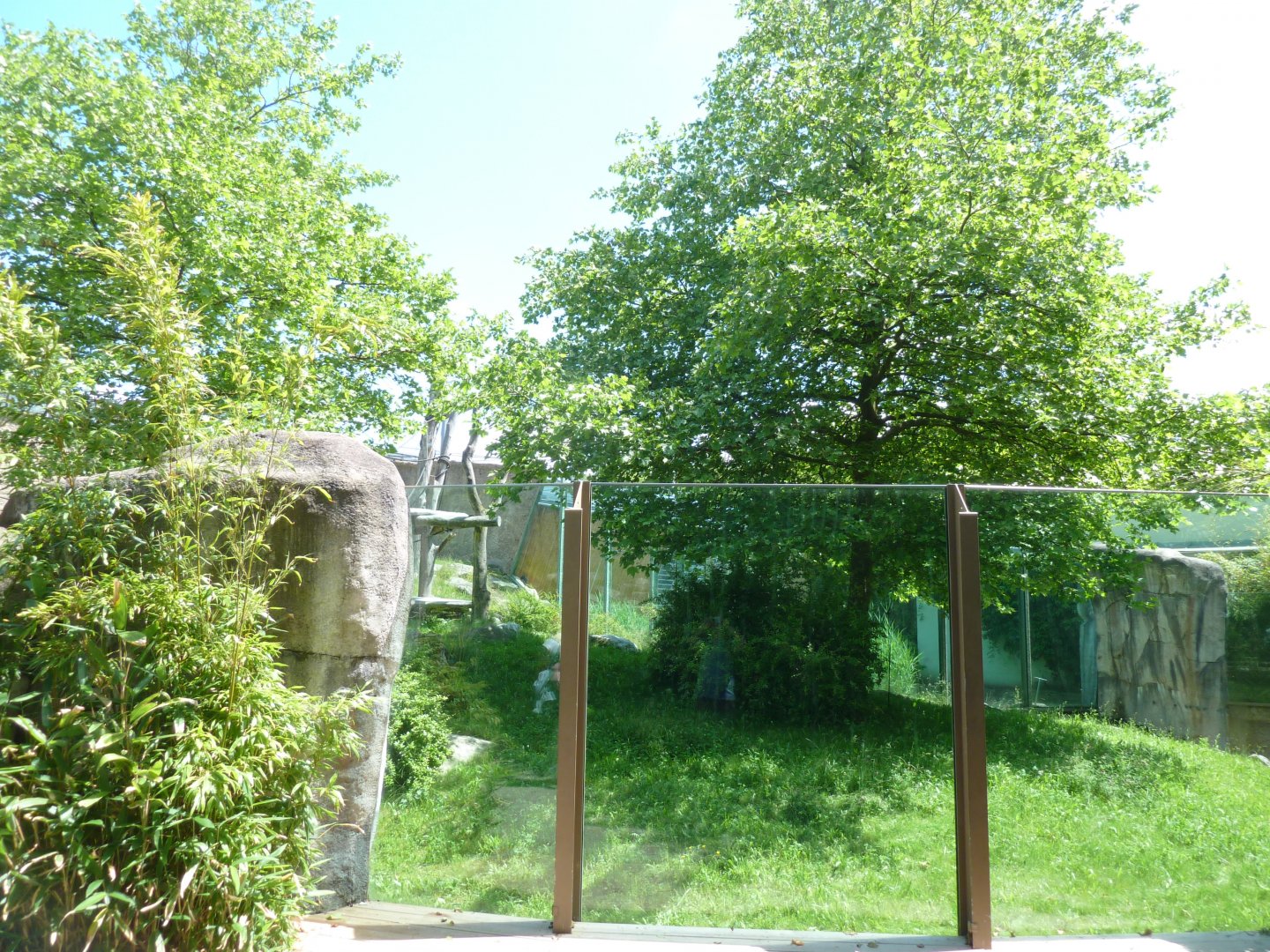 Urwaldhaus - Chimpansee enclosure