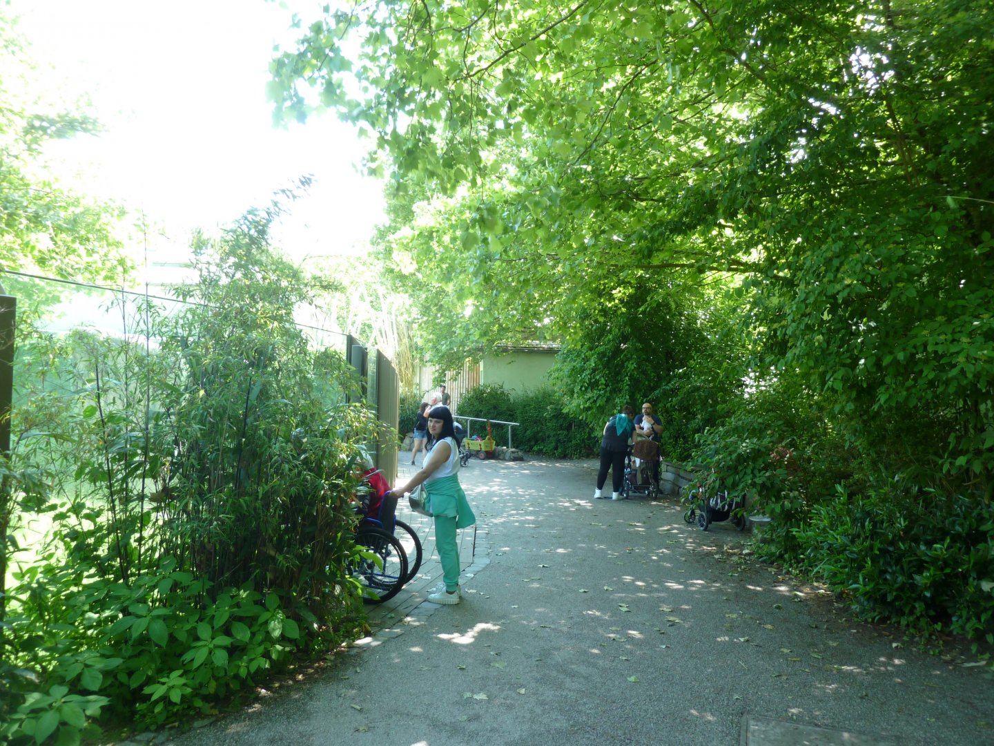 Urwaldhaus - Chimpansee enclosure