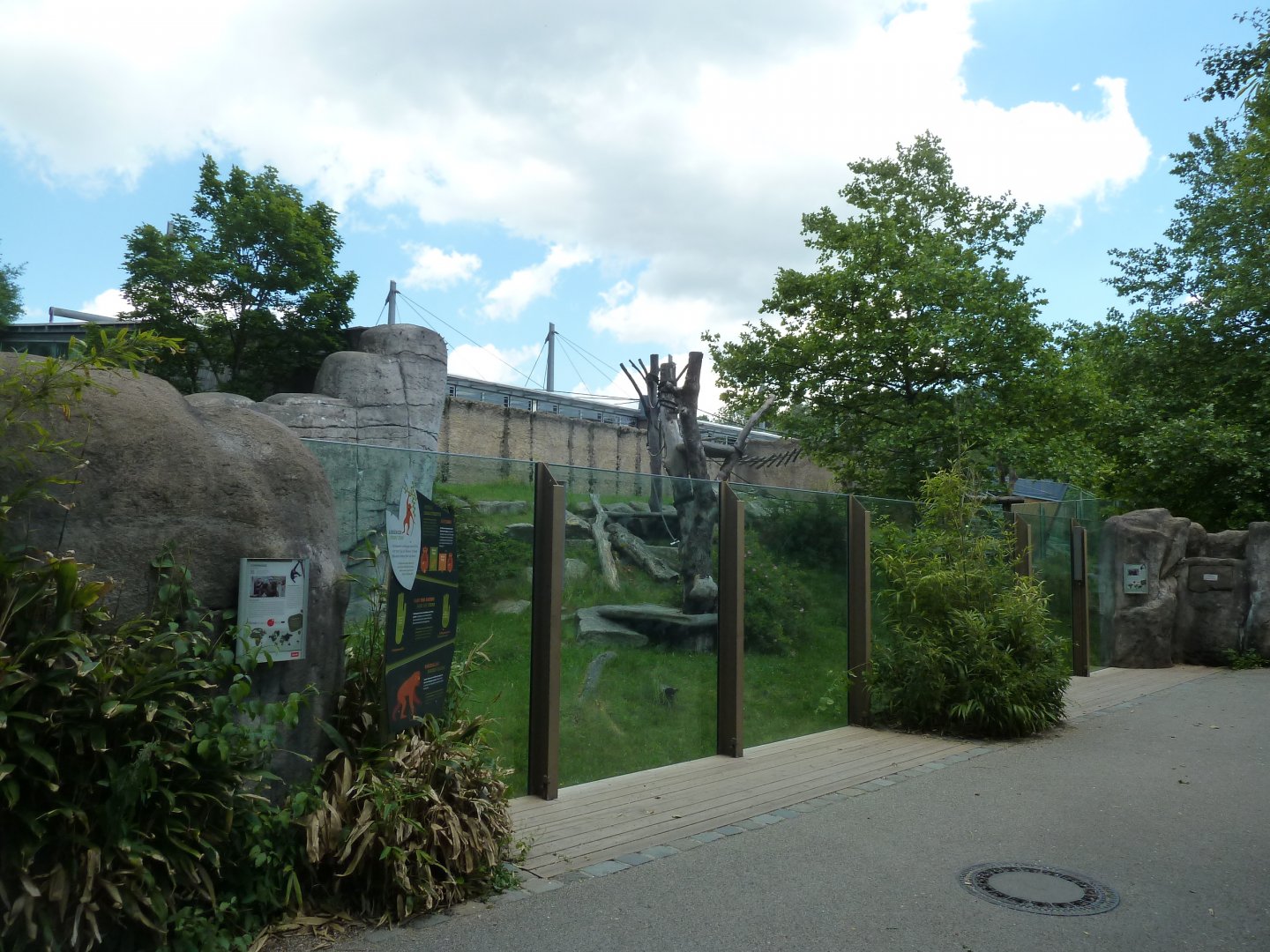 Urwaldhaus - Chimpansee enclosure
