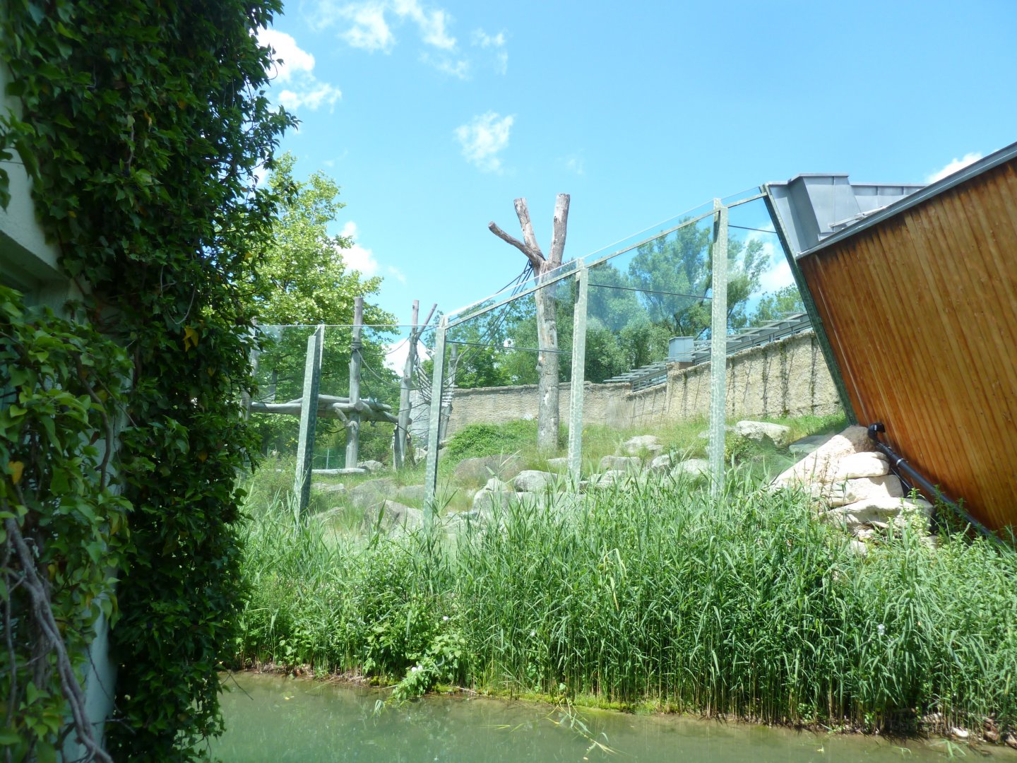 Urwaldhaus - Chimpansee outdoors enclosure