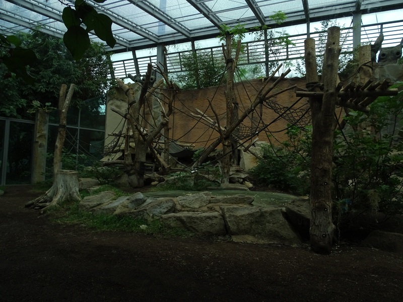 Urwaldhaus: Chimpanzee indoor enclosure