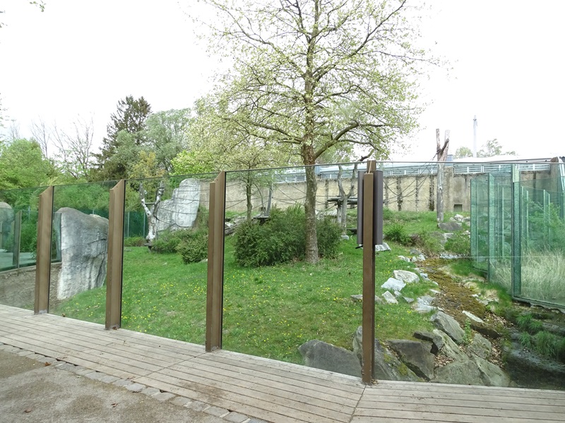 Urwaldhaus: Chimpanzee outdoor enclosure