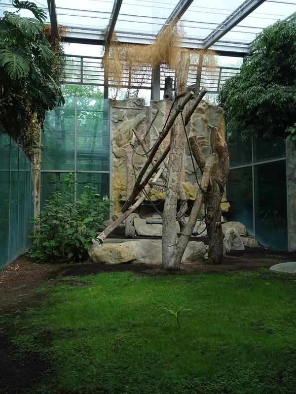 Urwaldhaus: Chimpanzee seperation enclosure (?)