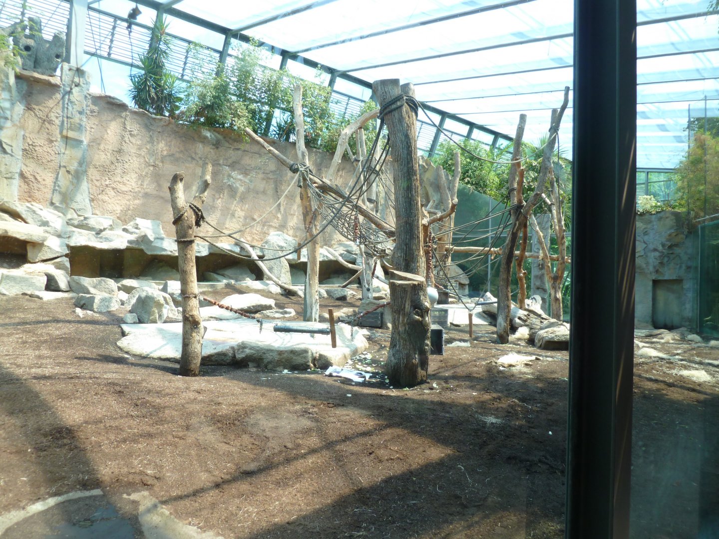 Urwaldhaus - First western lowland gorilla enclosure