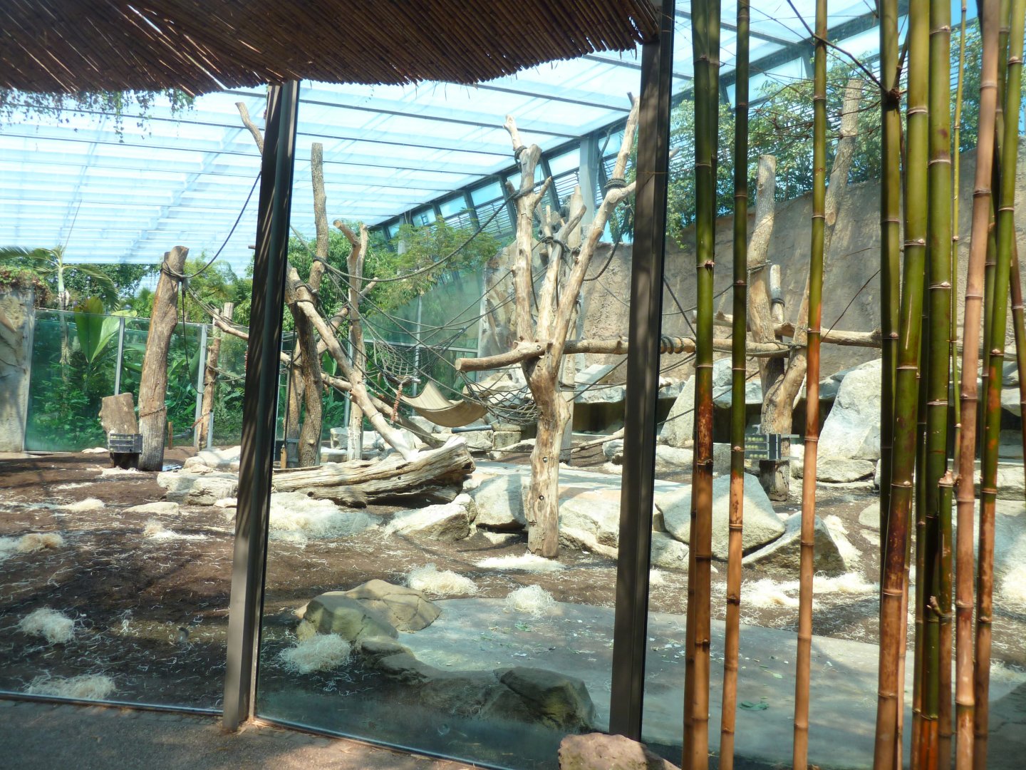 Urwaldhaus - FIrst western lowland gorilla enclosure
