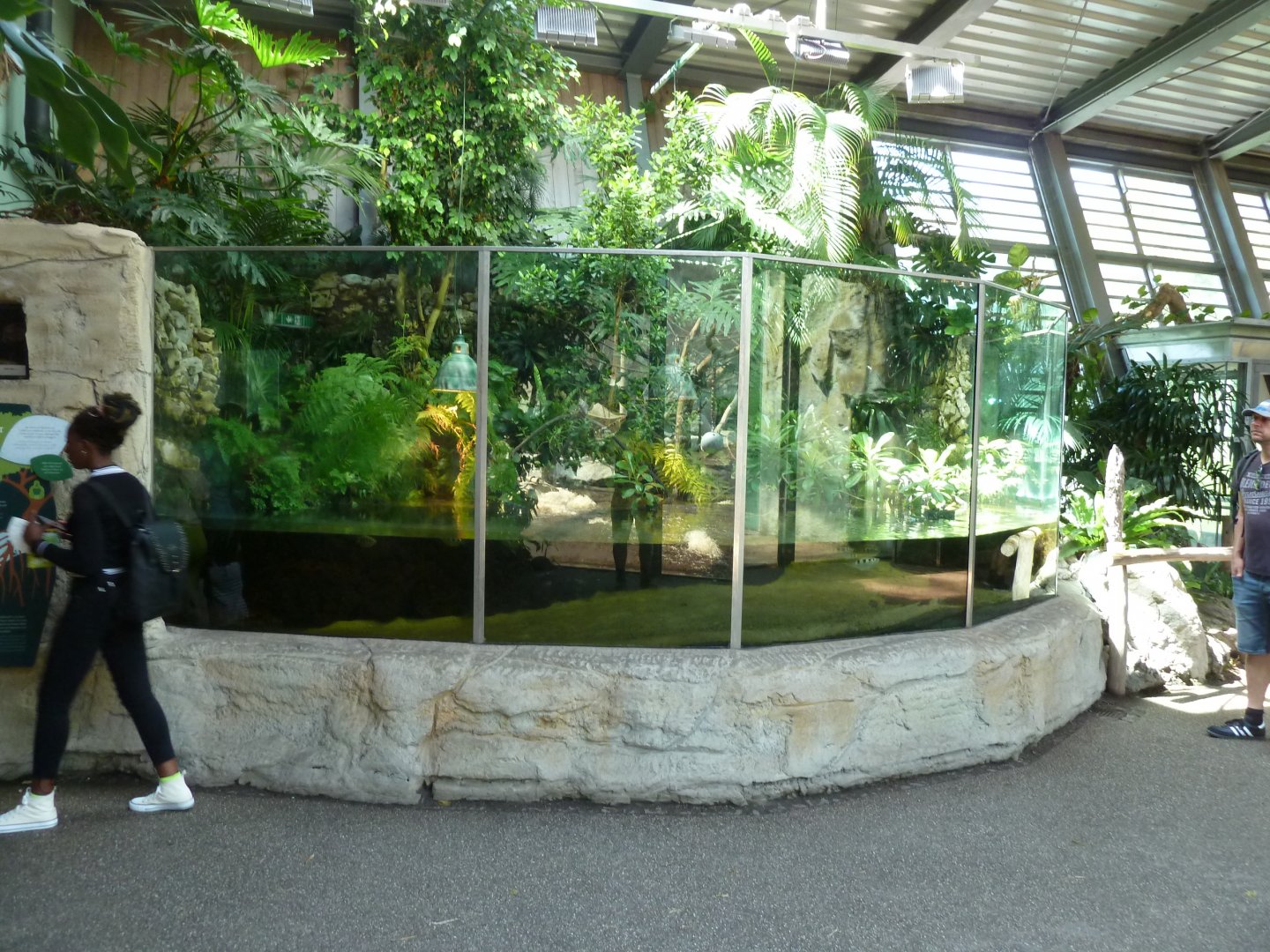 Urwaldhaus - Mangrove paludarium