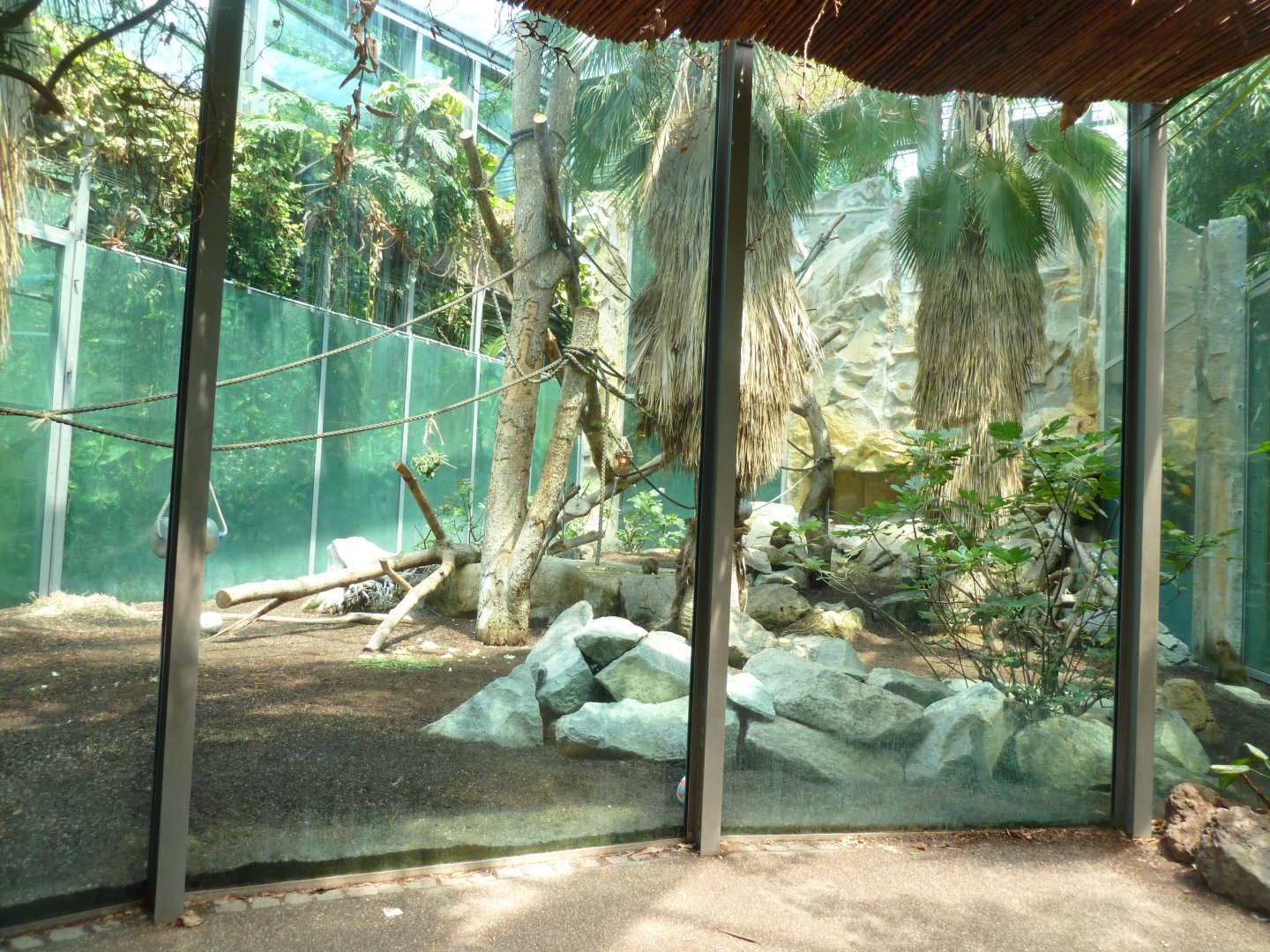 Urwaldhaus - Mixed species enclosure