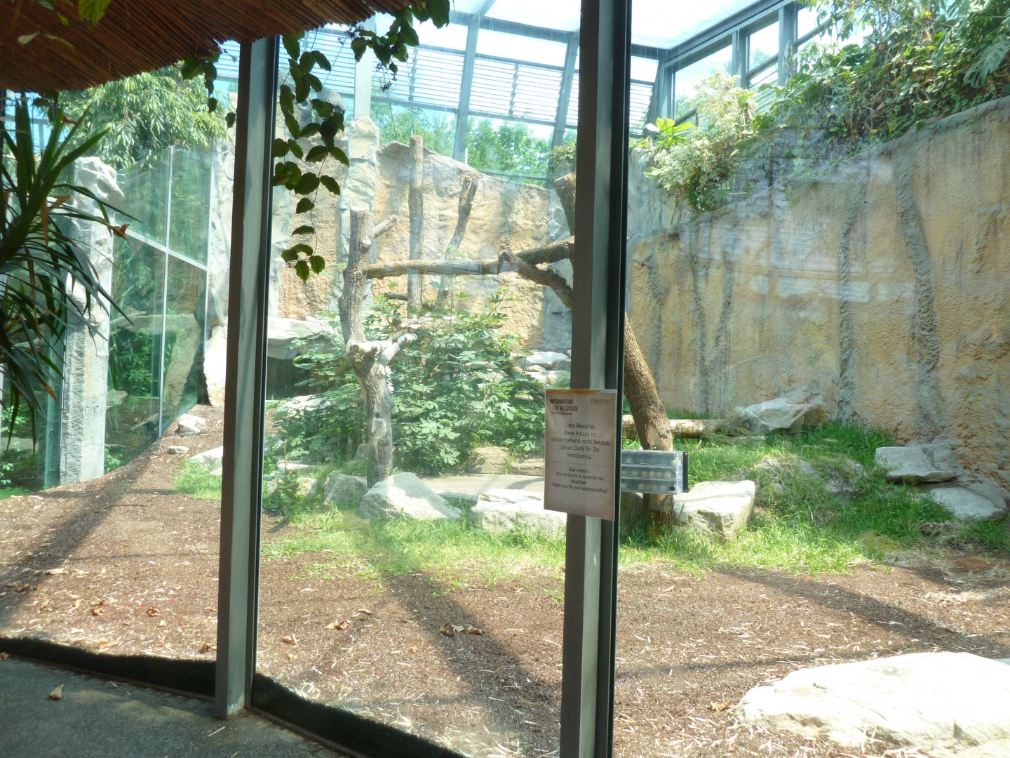 Urwaldhaus - Second western lowland gorilla (?) enclosure