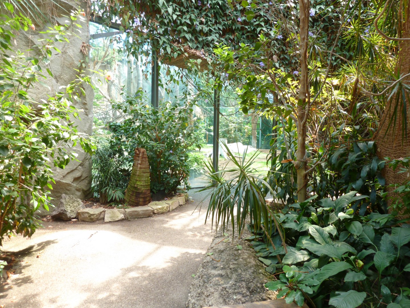 Urwaldhaus - View towards chimpansee enclosure