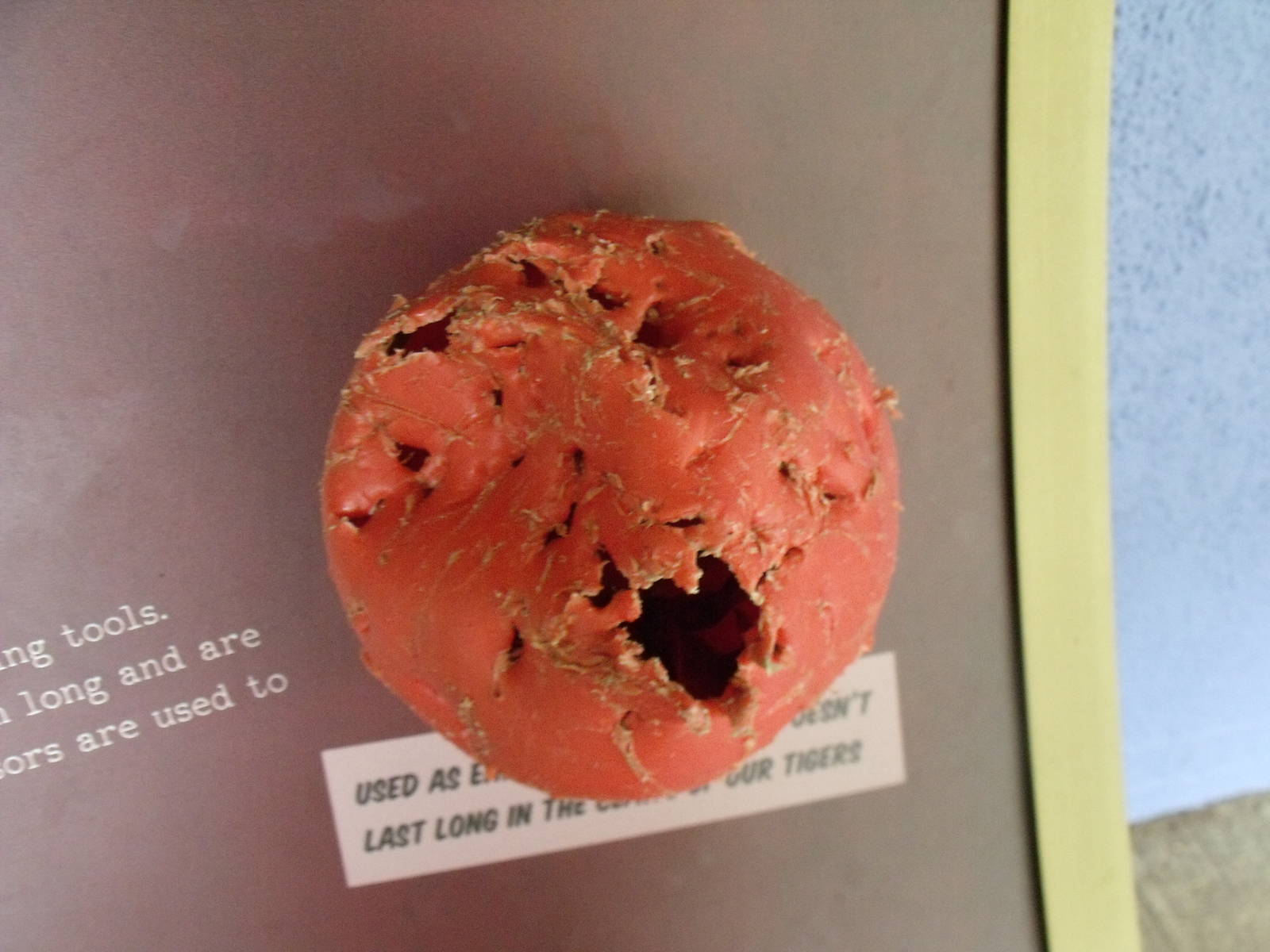 Used Boomer ball on display (Tigers)