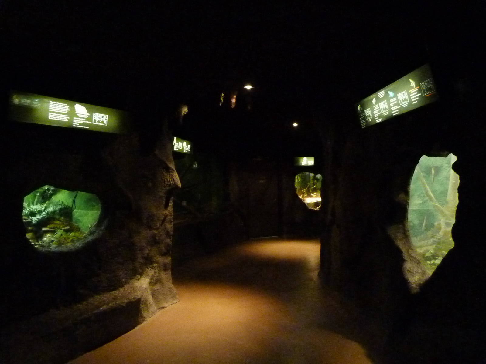 USS Antiquities -- further into the exhibit