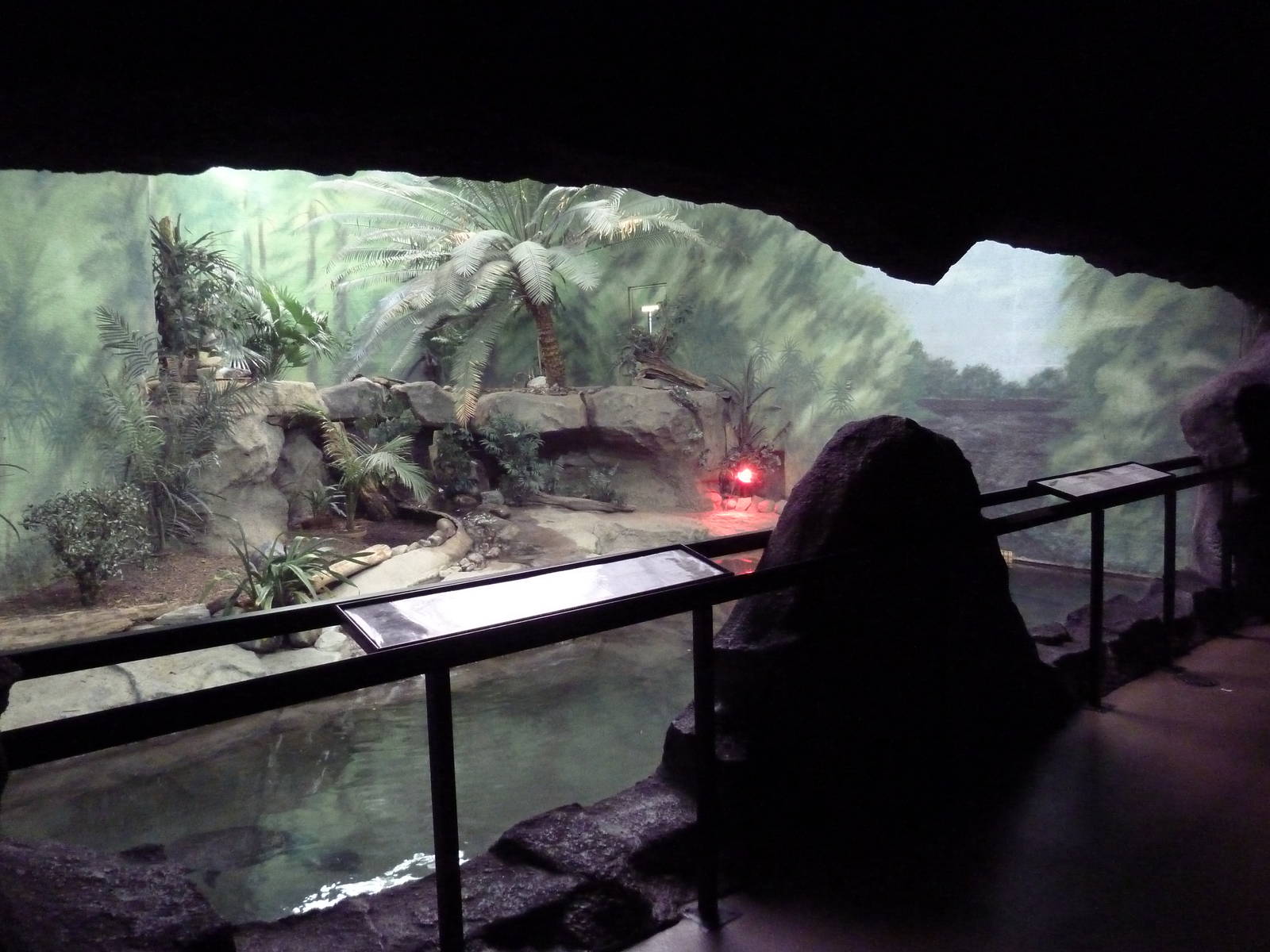 USS Antiquities Hall - Dwarf Caiman/Turtle Exhibit