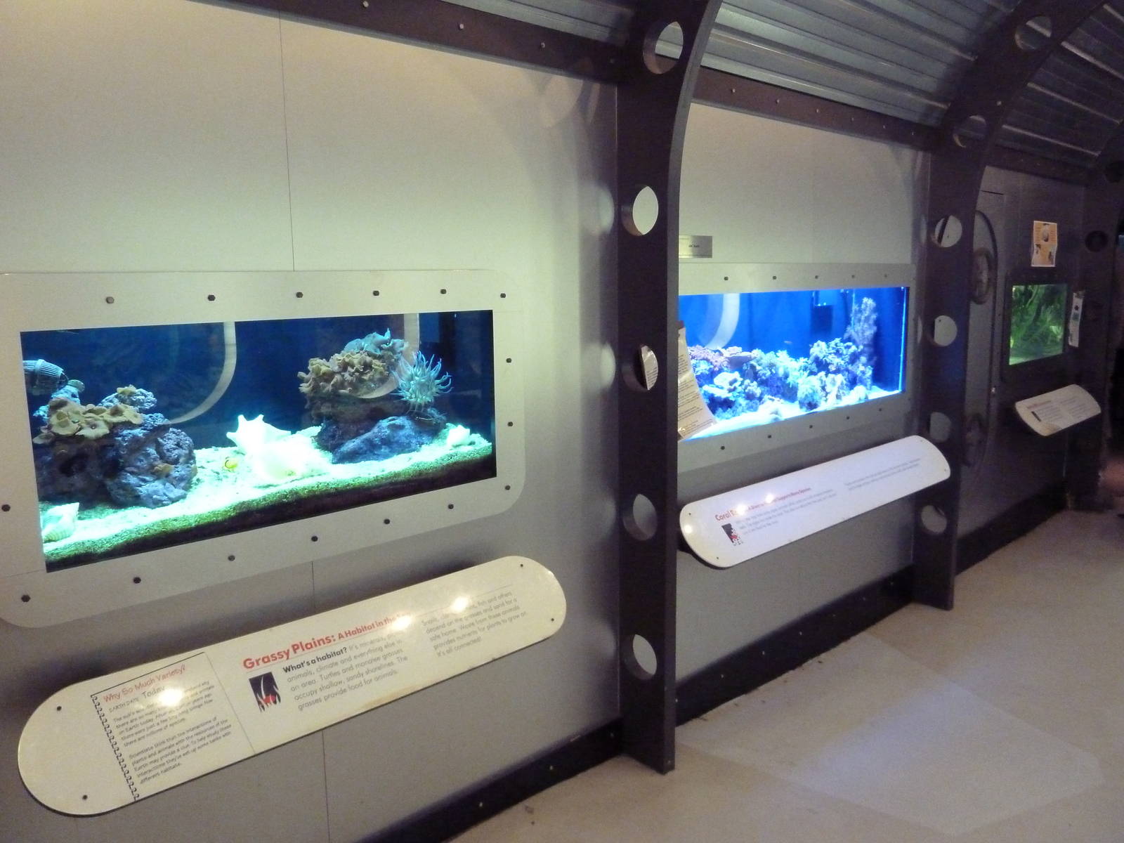 USS Antiquities Hall - Entrance Fish Tanks