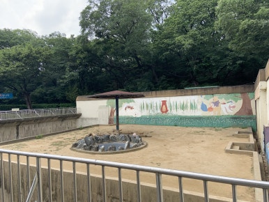 Ussuri brown bear enclosure