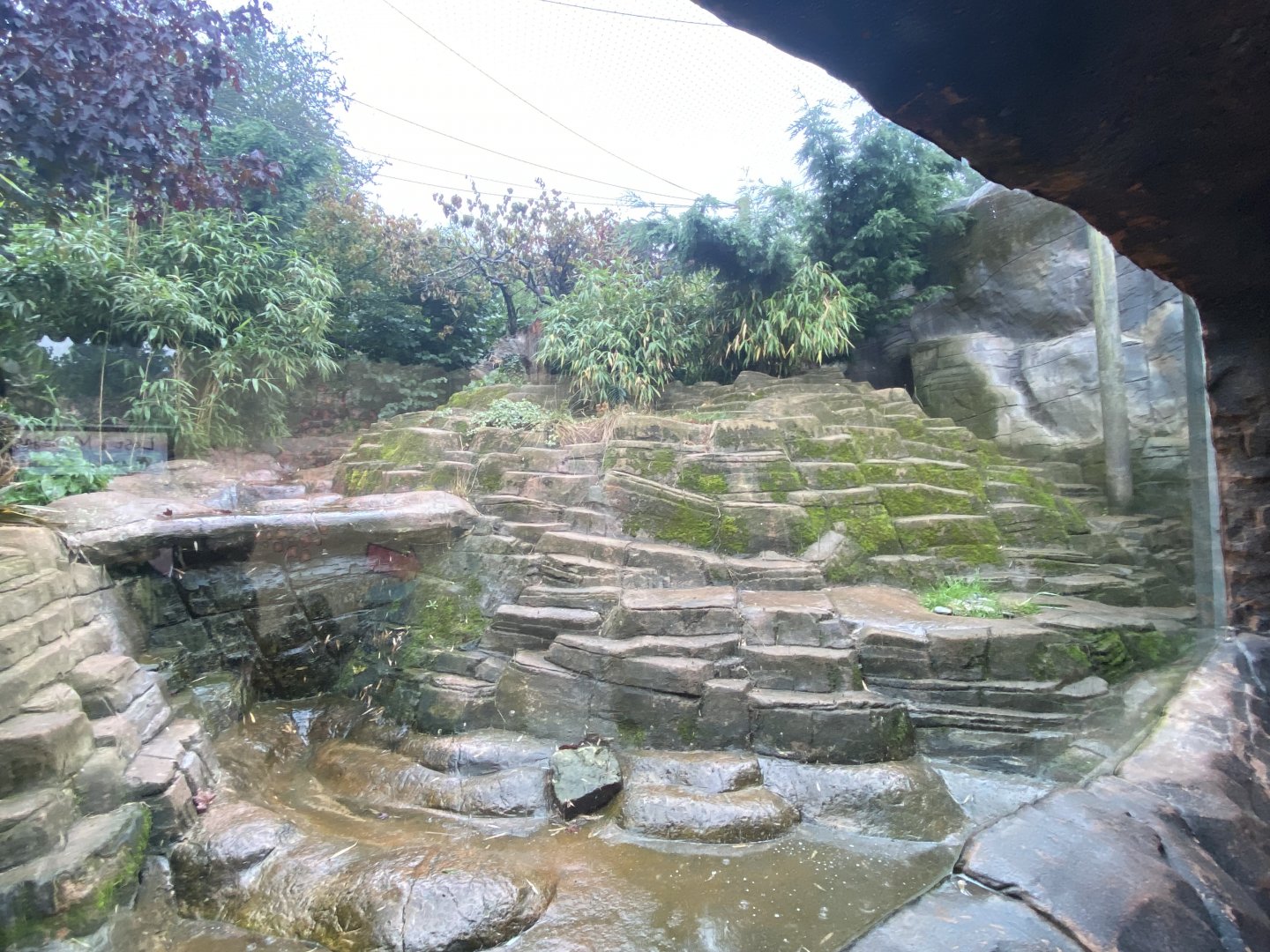 Ussuri Falls - Amur leopard enclosure 140921