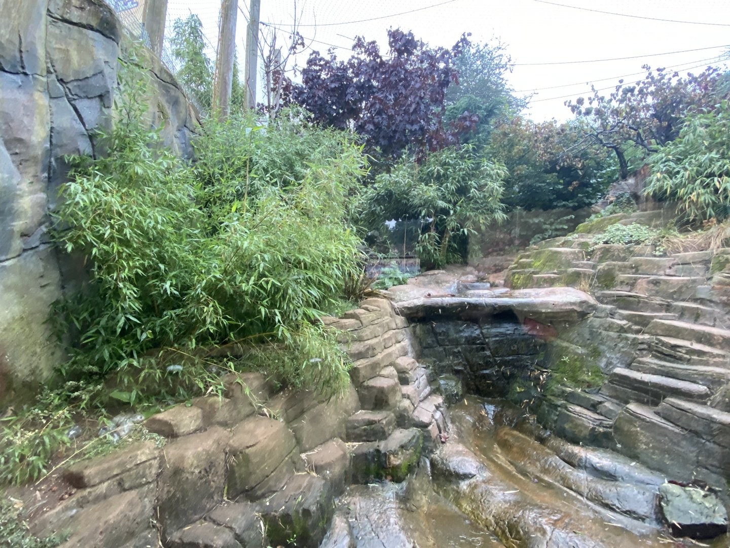 Ussuri Falls - Amur leopard enclosure 140921