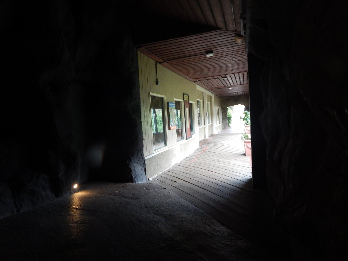 Ussuri Falls - Amur leopard enclosure 140921