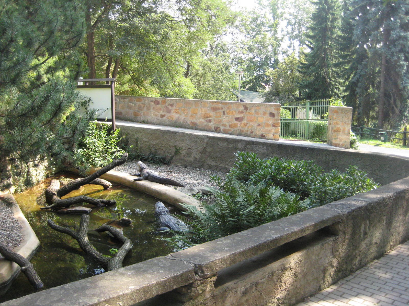 Usti nad Labem-Alligator Touch Exhibit