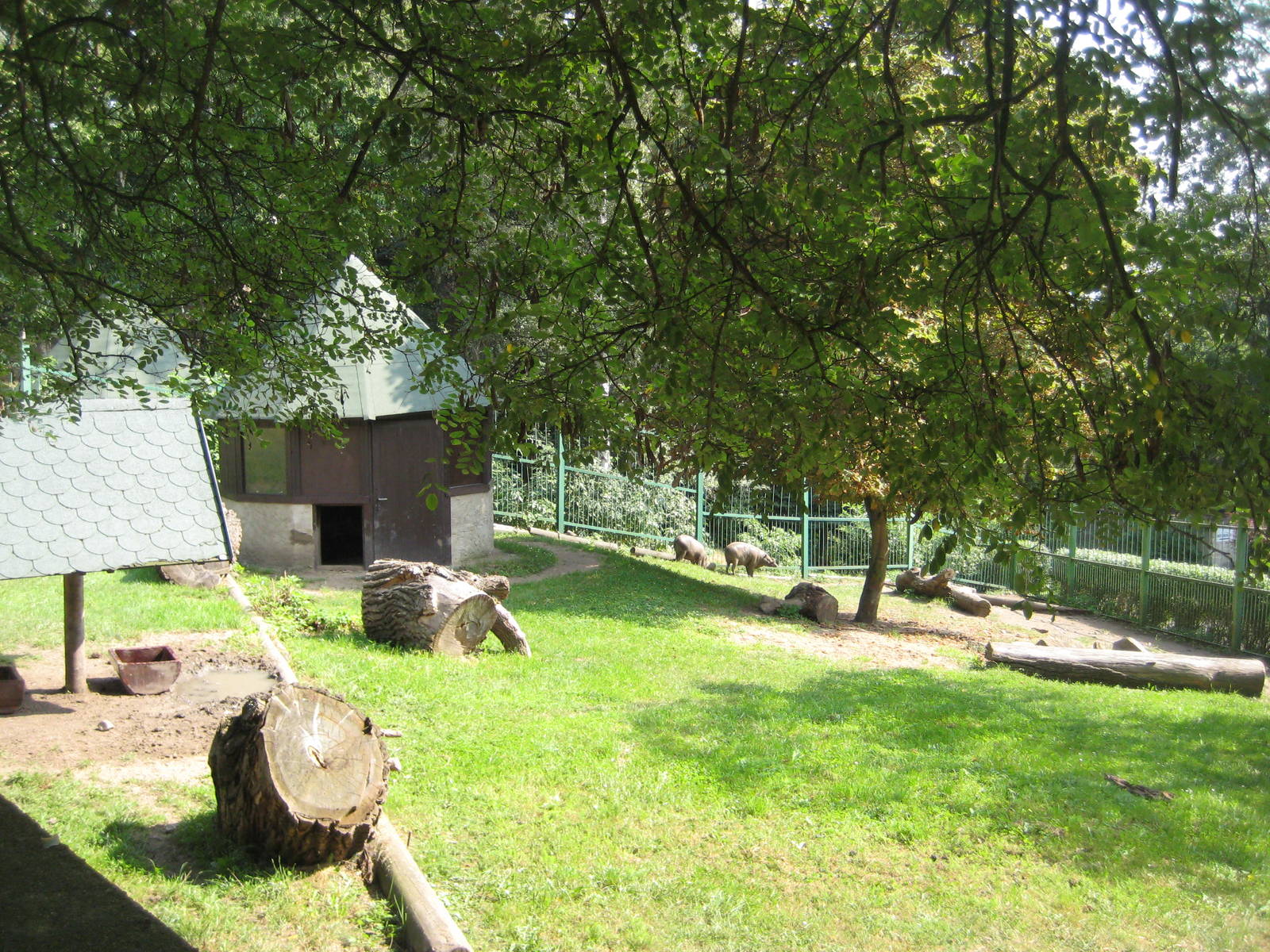 Usti nad Labem-Babirusa Exhibit