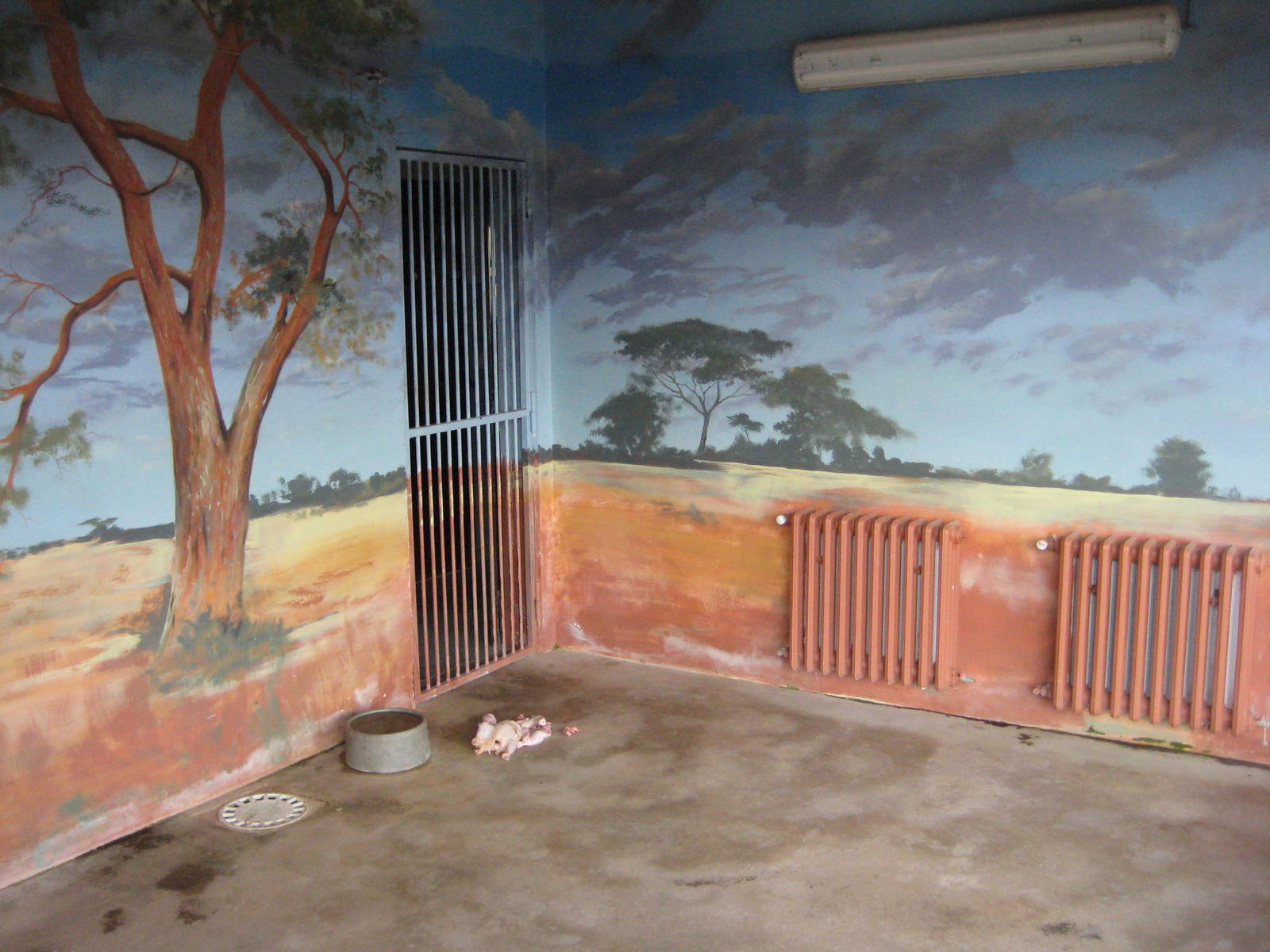 Usti nad Labem Cheetah House Inside