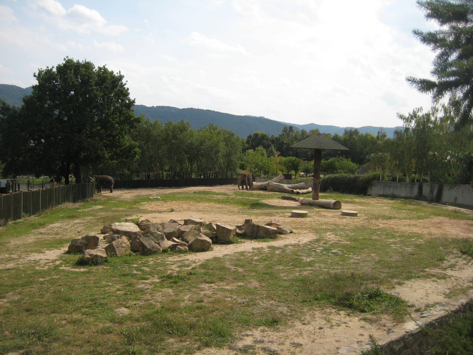 Usti nad Labem Elephant Exhibit