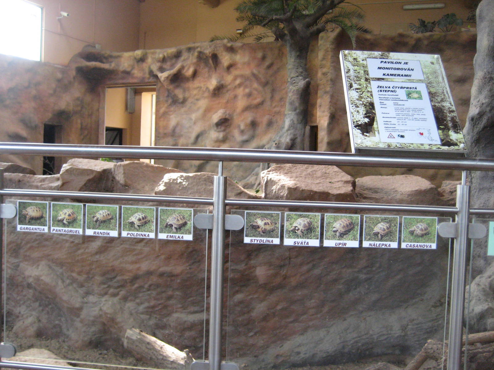 Usti nad Labem Elephant House Totroises Names signs