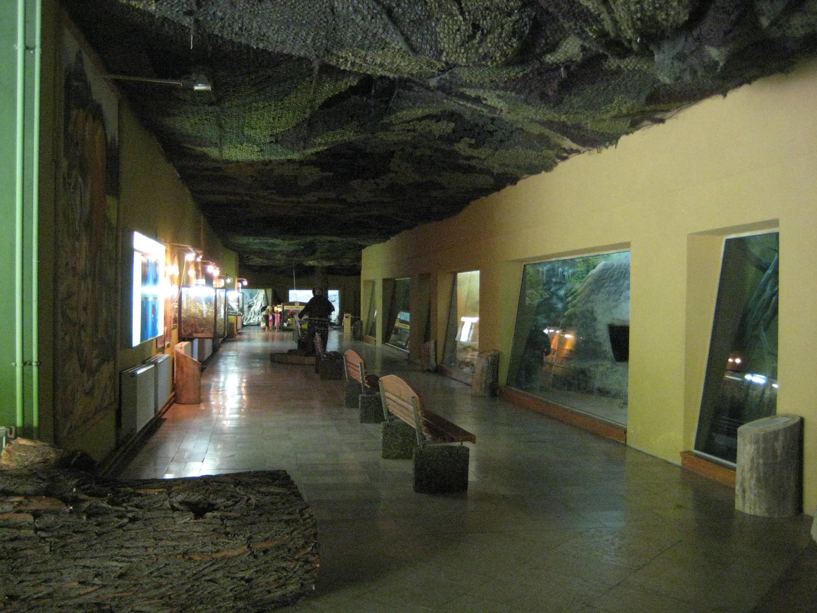 Usti nad Labem Inside the Cat building