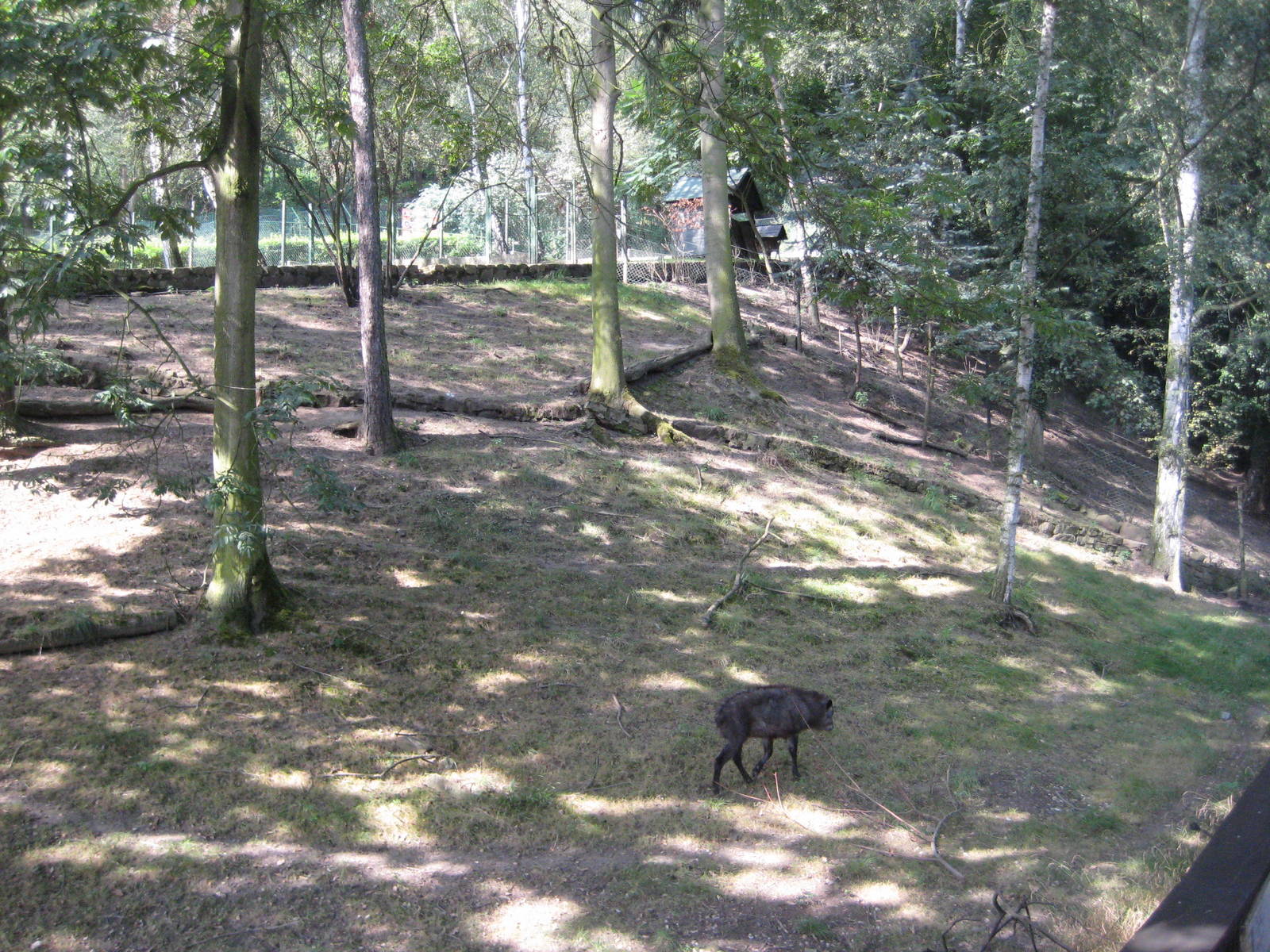 Usti nad Labem-Serow Exhibit
