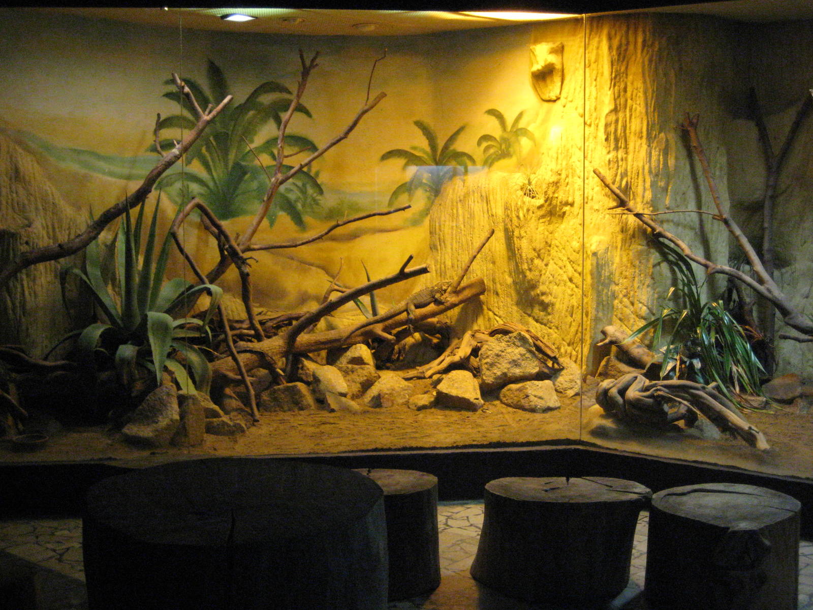 Usti nad Labem Terrarium for iguanas